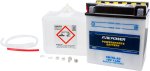 FIRE POWER BATTERY W/ACID CB10L-A2 12V HEAVY DUTY - CB10L-A2