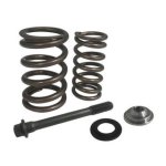 Riva UPGRADE KIT , VALVE TRAIN , 4TEC - RS19050-VTU