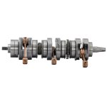SBT Fits Tigershark Crankshaft 900 /Monte Carlo 900 /TS 900 3008-405 1995-1999 - 20-503