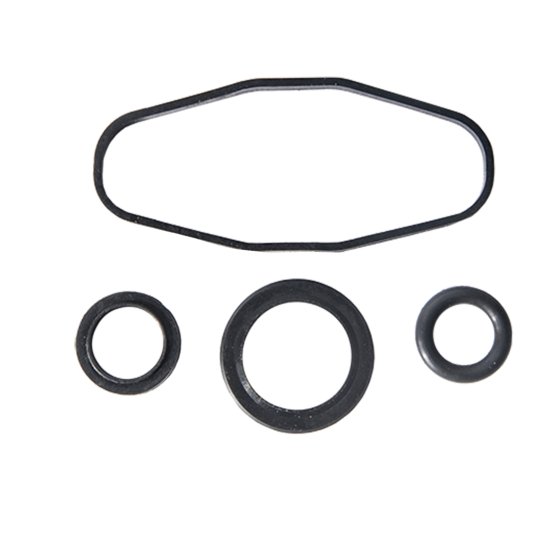 SBT RAVE Valve Rebuild Kit for Sea-Doo GTX DI /RX DI /LRV DI /XP DI /Sport LE DI /3D 947 DI 2000-2006 - 46-111