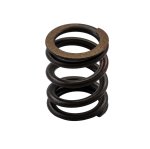 SBT Spark Valve Spring for Spark 420939540 - 46-115-73