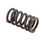 SBT 1.8L Valve Spring SHO /FX SHO /FZS /FZR /VXR /VXS 6S5-12113-00-00 2008 2009 2010 2011 2012 - 46-412-73