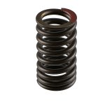 SBT Valve Spring for Yamaha 1050 (TR-1) 8GL-12113-00-00 - 46-416-73