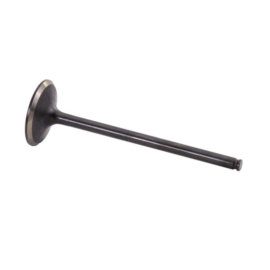 SBT Intake Valve for Honda - F-12 /F-12X /R-12 /R-12X 14711-HW1-671 2002-2006 - 46-600-71