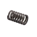 SBT Valve Spring for Honda - F-12 /R-12 14751-MAT-003 2002-2006 - 46-600-73