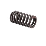SBT Valve Spring for Honda - F-12X /R-12X 14751-HW3-670 2002-2006 - 46-601-73