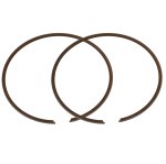 SBT Ring Set for Sea-Doo - 947 DI /951DI GTX DI /RX DI /LRV DI /XP DI /Sport LE DI/3D 947 DI 2000-2006 - 49-111