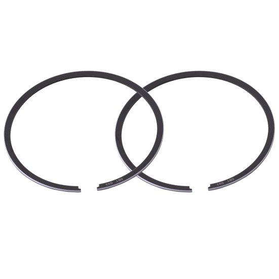 SBT Ring Set for Tigershark - 900 Monte Carlo 3004-079 1995 1996 - 49-503