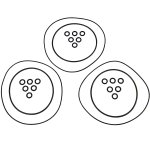 SBT Head O'Ring Kit for Tigershark 900/1000 /Monte Carlo 900 /Daytona 1000 /Monte Carlo 1000 /TS 1000 - 53-503
