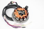 WSM PWC Electrical Items Armature / Stator Coil Polaris 750 SL 94-95 - 004-206-02