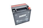 WSM PWC Electrical Items Maintenance Free Battery STX30L-BS - 004-407WSM