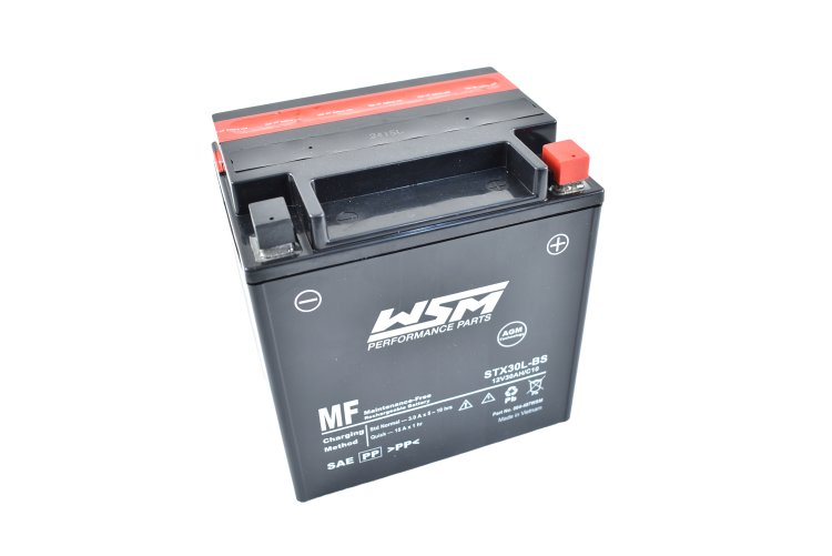 WSM PWC Electrical Items Maintenance Free Battery STX30L-BS - 004-407WSM