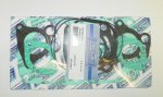 WSM PWC Gasket Kits Top End Gasket Kit Polaris 800 Octane / Virage 02-04 - 007-648-01