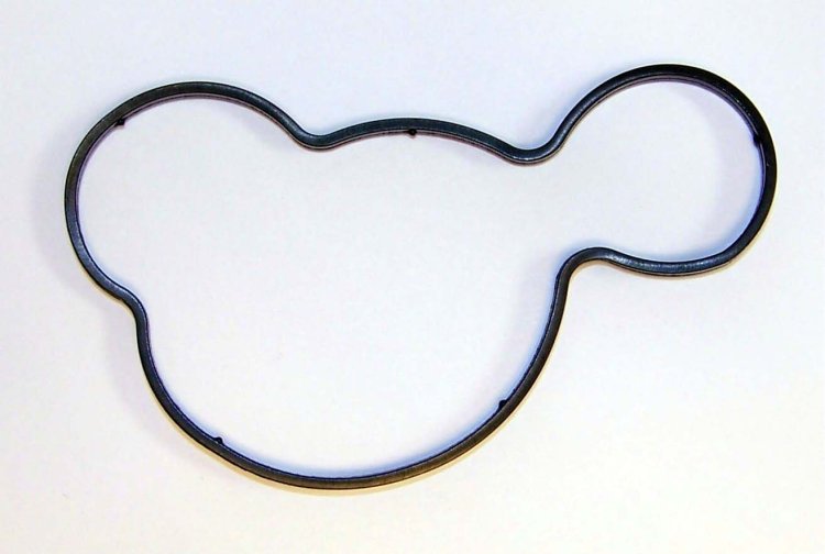 WSM PWC Gaskets & Orings Oil Separator Housing O-Ring Sea-Doo 1503 4-Tec 02-05 - 008-599-10