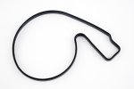 WSM PWC Gaskets & Orings Water Pump Housing O-Ring Sea-Doo 1503 / 1630 4-Tec 02-24 - 008-599-12