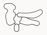 WSM PWC Gaskets & Orings Oil Pump O-Ring Yamaha 1100 05-08 - 008-689-05