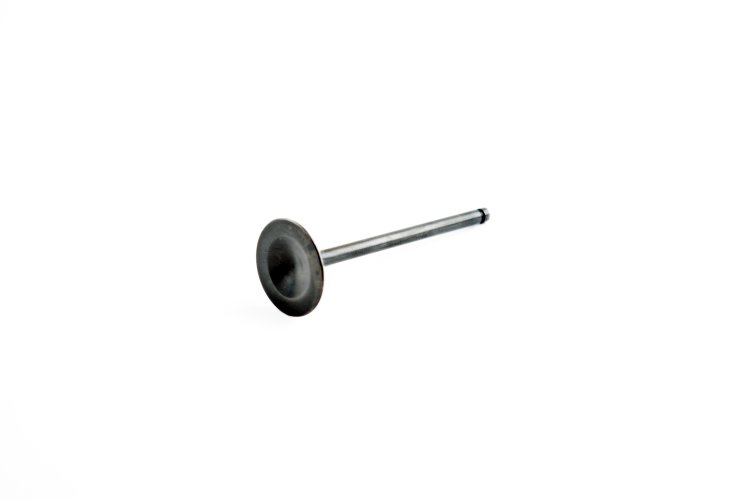 WSM PWC Engine Parts Intake Valve Sea-Doo / Can-Am 900 14-25 - 010-017