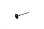 WSM PWC Engine Parts Exhaust Valve Sea-Doo / Can-Am 900 14-25 - 010-018