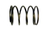 WSM PWC Engine Parts Power Valve Clip Spring Sea-Doo 800 / 951 97-05 - 010-029