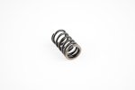 WSM PWC Engine Parts Valve Spring Sea-Doo 1503 / 1630 4-Tec Outer 02-23 / Can-Am 500 / 650 02-05 - 010-030