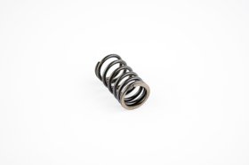 WSM PWC Engine Parts Valve Spring Sea-Doo 1503 / 1630 4-Tec Outer 02-23 / Can-Am 500 / 650 02-05 - 010-030 WSM PWC Engine Parts Valve Spring Sea-Doo 1503 / 1630 4-Tec Outer 02-23 / Can-Am 500 / 650 02-05 - 010-030