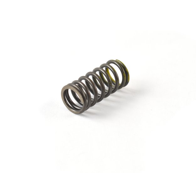 WSM PWC Engine Parts Valve Spring Sea-Doo 1503 / 1630 4-Tec Inner 02-24 - 010-031