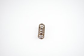 WSM PWC Engine Parts Power Valve Spring Sea-Doo 951 DI 00-07 - 010-034