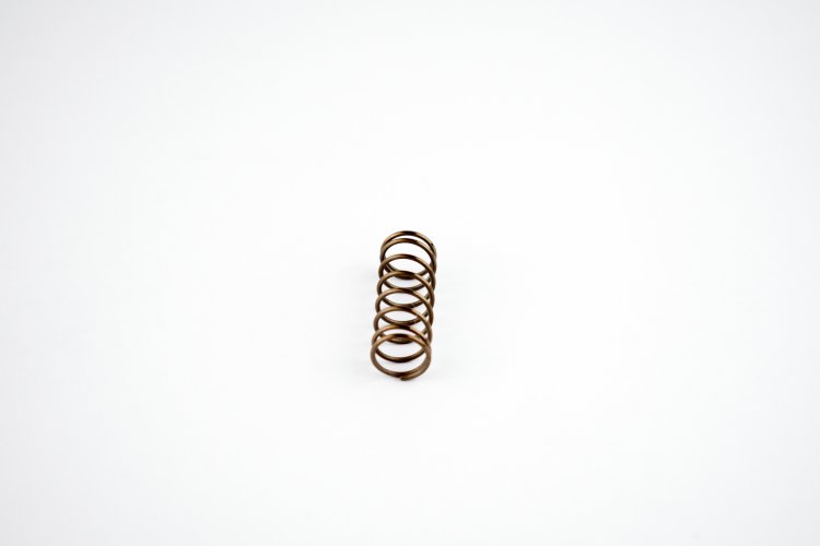 WSM PWC Engine Parts Power Valve Spring Sea-Doo 951 DI 00-07 - 010-034