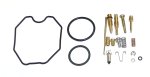 WSM Off Road Carb. Kits Carburetor Kit Arctic Cat 250 DVX 06-07 - 016-453