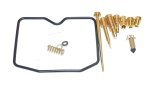 WSM Off Road Carb. Kits Carburetor Kit Arctic Cat 300 2x4 / 4x4 01-05 - 016-454