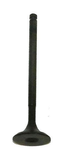 WSM Off Road Valves Intake Valve Honda 250 / 300 TRX 87-08 - 017-016-01