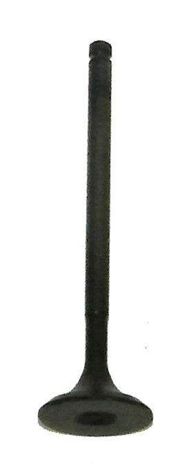 WSM Off Road Valves Intake Valve Honda 250 / 300 TRX 87-08 - 017-016-01 WSM Off Road Valves Intake Valve Honda 250 / 300 TRX 87-08 - 017-016-01
