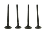 WSM Off Road Valves Engine Valve Kit Honda 250 / 300 TRX 87-08 - 017-016