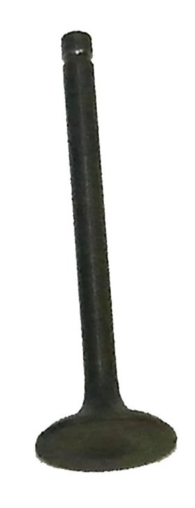 WSM Off Road Valves Exhaust Valve Honda 125 ATC / TRX 84-86 - 017-017-02 WSM Off Road Valves Exhaust Valve Honda 125 ATC / TRX 84-86 - 017-017-02