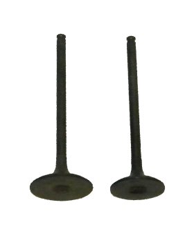WSM Off Road Valves Engine Valve Kit Honda 250 ATC / TRX 85-87 - 017-019 WSM Off Road Valves Engine Valve Kit Honda 250 ATC / TRX 85-87 - 017-019