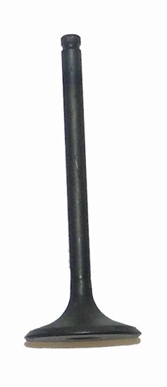 WSM Off Road Valves Intake Valve Honda 250 TRX 97-01 - 017-021-01
