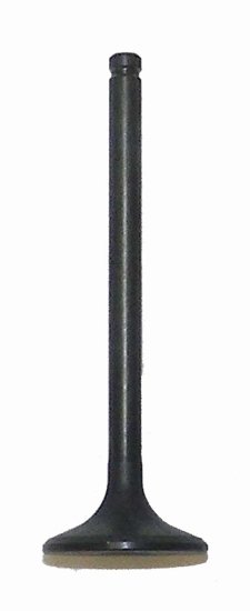 WSM Off Road Valves Exhaust Valve Honda 250 TRX 97-01 - 017-021-02