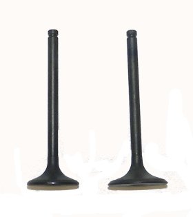 WSM Off Road Valves Engine Valve Kit Honda 250 TRX 97-01 - 017-021 WSM Off Road Valves Engine Valve Kit Honda 250 TRX 97-01 - 017-021