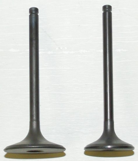 WSM Off Road Valves Engine Valve Kit Honda 400 TRX-FW 95-03 - 017-024