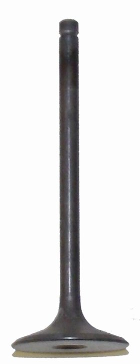 WSM Off Road Valves Intake Valve Honda 250 TRX-EX 01-08 - 017-026-01