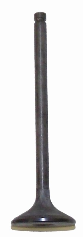 WSM Off Road Valves Exhaust Valve Honda 250 TRX-EX 01-08 - 017-026-02 WSM Off Road Valves Exhaust Valve Honda 250 TRX-EX 01-08 - 017-026-02