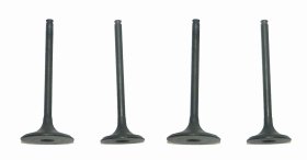 WSM Off Road Valves Engine Valve Kit Honda 450 TRX-R 04-05 - 017-028 WSM Off Road Valves Engine Valve Kit Honda 450 TRX-R 04-05 - 017-028