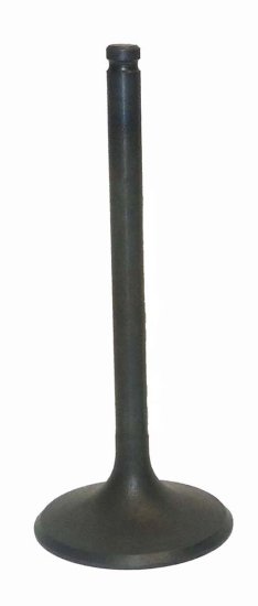 WSM Off Road Valves Intake Valve Honda 350 TRX-FM / TM 00-06 - 017-029-01