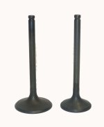 WSM Off Road Valves Engine Valve Kit Honda 350 TRX-FM / TM 00-06 - 017-029