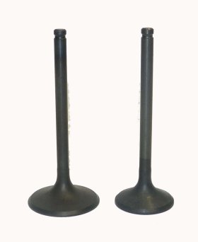 WSM Off Road Valves Engine Valve Kit Honda 350 TRX-FM / TM 00-06 - 017-029 WSM Off Road Valves Engine Valve Kit Honda 350 TRX-FM / TM 00-06 - 017-029