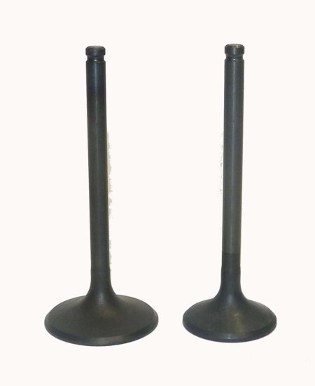 WSM Off Road Valves Engine Valve Kit Honda 350 TRX-FM / TM 00-06 - 017-029