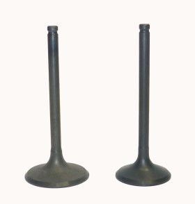 WSM Off Road Valves Engine Valve Kit Honda 450 TRX Foreman 98-04 - 017-030 WSM Off Road Valves Engine Valve Kit Honda 450 TRX Foreman 98-04 - 017-030