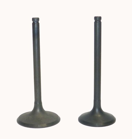 WSM Off Road Valves Engine Valve Kit Honda 450 TRX Foreman 98-04 - 017-030