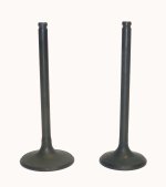 WSM Off Road Valves Engine Valve Kit Honda 500 TRX Foreman 05-15 - 017-031