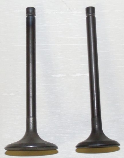 WSM Off Road Valves Engine Valve Kit Kawasaki 200 - 300 81-04 - 017-101